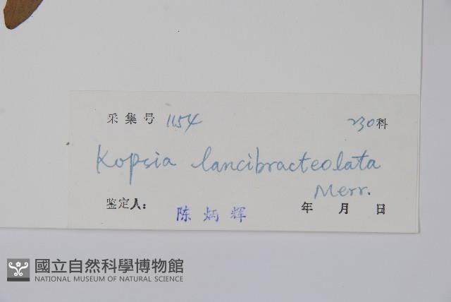 蕊木藏品圖，第2張