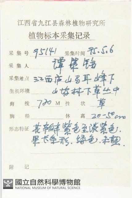 諸葛菜藏品圖，第2張