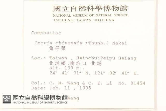 兔仔菜藏品圖，第2張