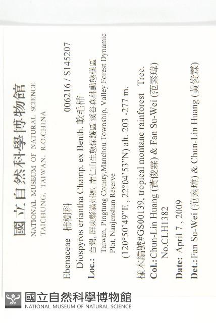 軟毛柿藏品圖，第2張