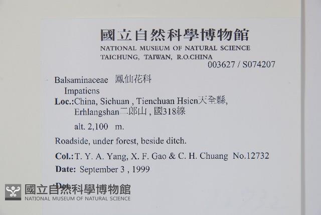 登錄號:S074207藏品圖，第2張