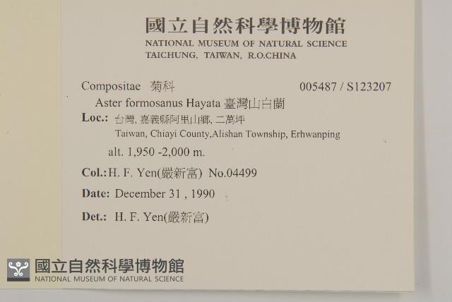 臺灣山白蘭藏品圖，第2張