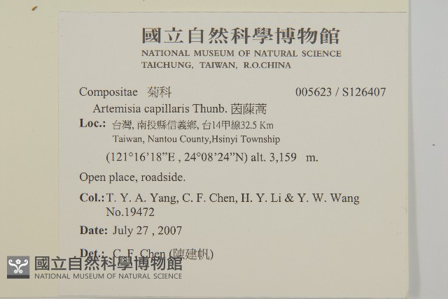 高山艾藏品圖，第2張