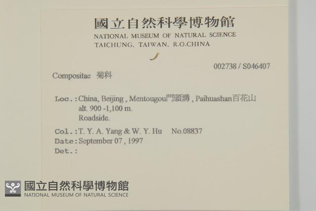 登錄號:S046407藏品圖，第2張