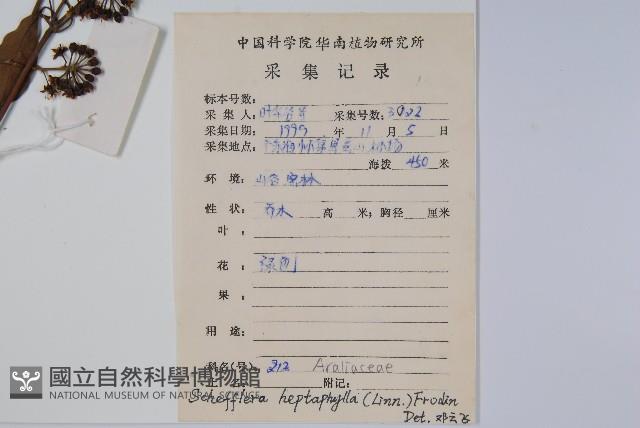 登錄號:S086407藏品圖，第2張