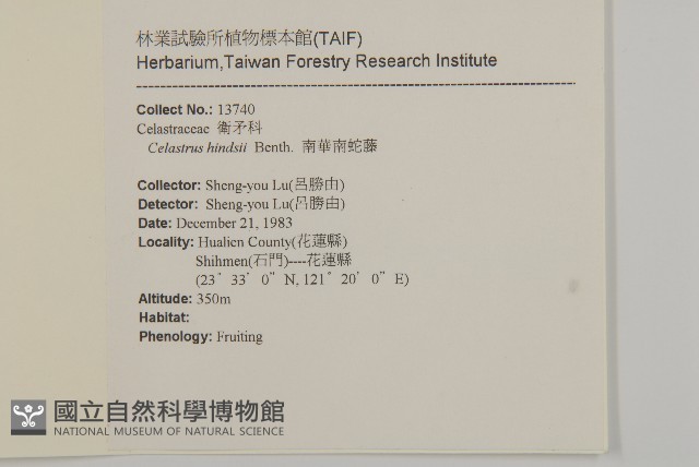 南華南蛇藤，青江藤藏品圖，第2張
