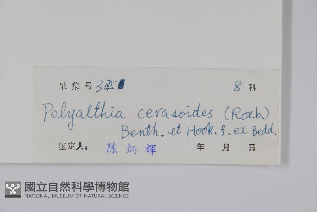 細基丸藏品圖，第2張