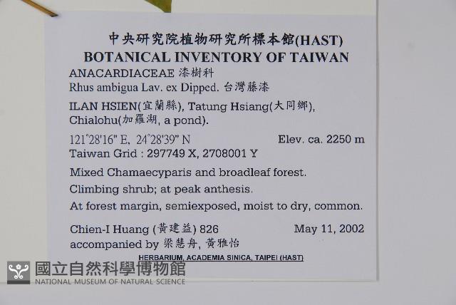 臺灣藤漆藏品圖，第2張