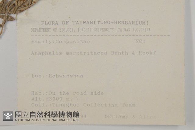 抱莖籟簫藏品圖，第2張