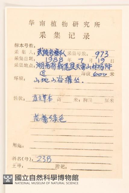 華澤蘭藏品圖，第2張