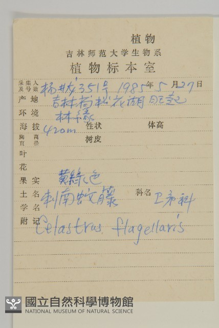 刺苞南蚊藤藏品圖，第2張