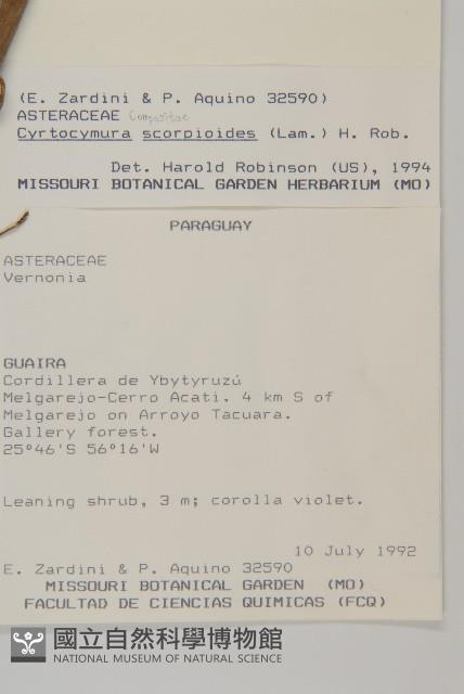 登錄號:S062307藏品圖，第2張