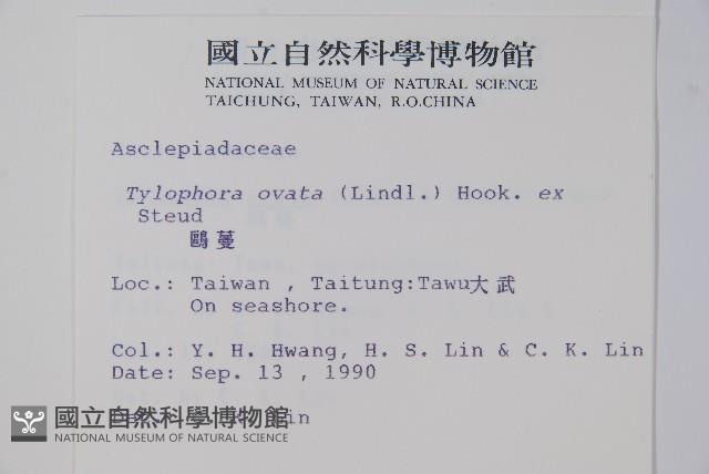 鷗蔓藏品圖，第2張