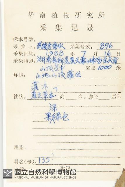 川續斷藏品圖，第2張