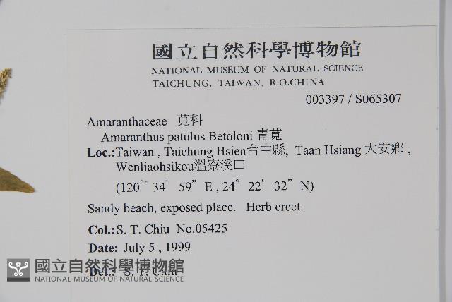 青莧藏品圖，第2張