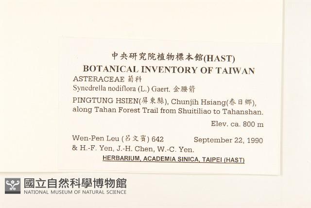 金腰箭藏品圖，第2張