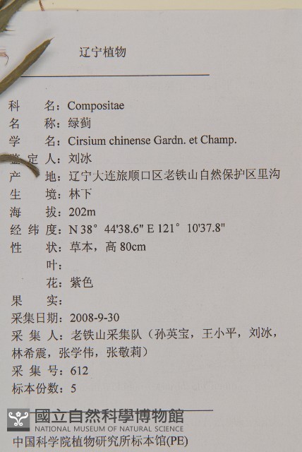 華薊藏品圖，第2張
