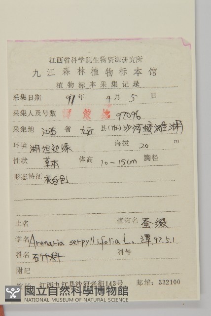 鐵莧菜藏品圖，第2張