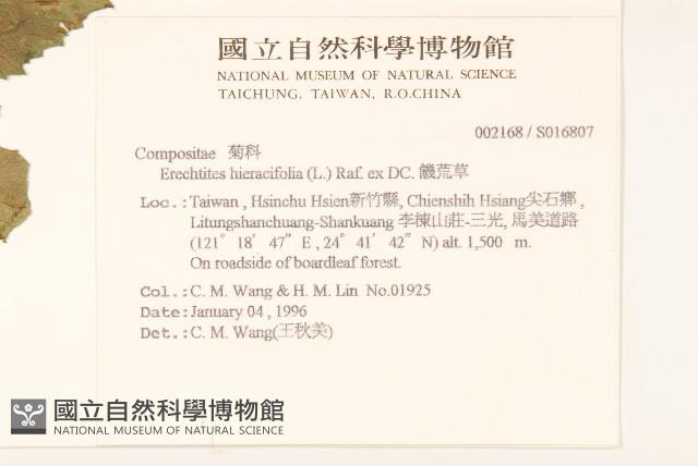 饑荒草藏品圖，第2張