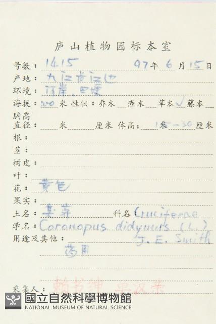 臭濱芥、臭薺藏品圖，第2張