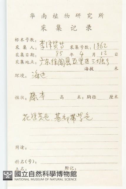 野牽牛藏品圖，第2張