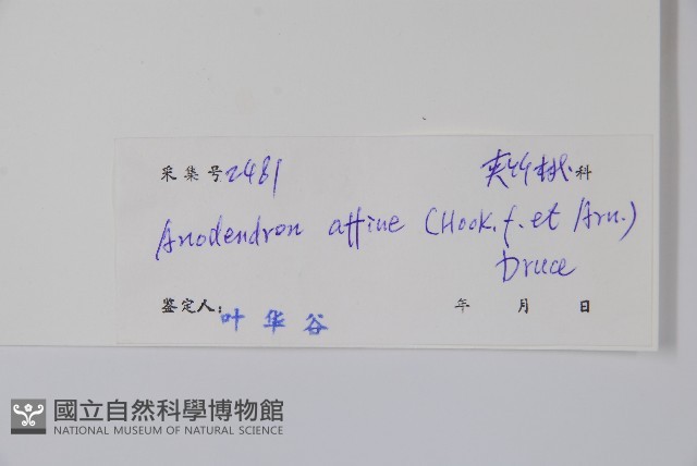 小錦蘭藏品圖，第2張