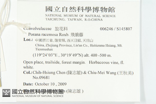 飛蛾藤藏品圖，第2張