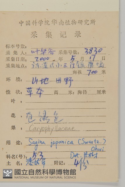 瓜槌草、漆姑草藏品圖，第2張