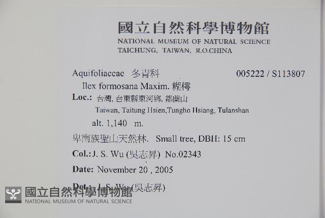 糊樗藏品圖，第2張