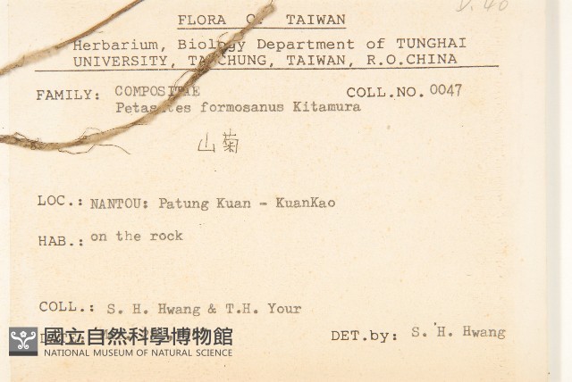 臺灣款冬藏品圖，第2張