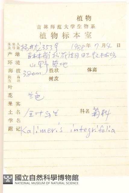 全葉馬蘭藏品圖，第2張