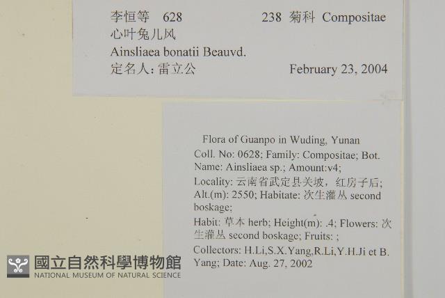 心葉兔兒風藏品圖，第2張