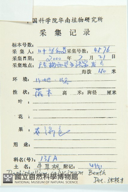 牛耳楓藏品圖，第2張