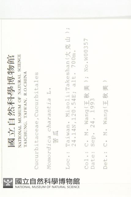 苦瓜藏品圖，第2張