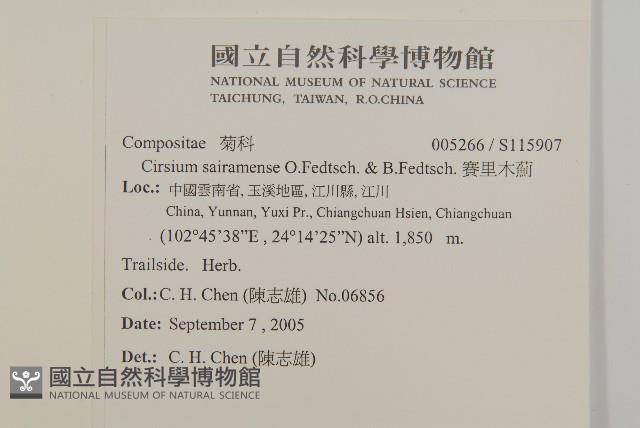 賽里木薊藏品圖，第2張