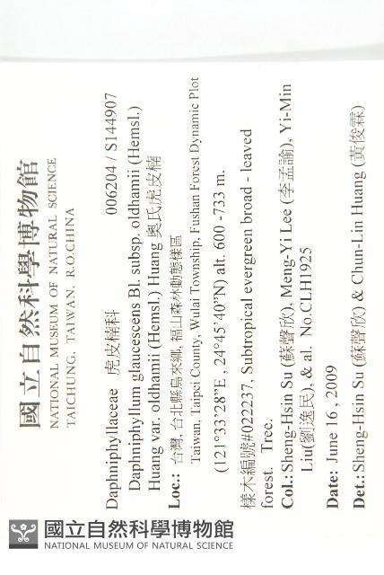 奧氏虎皮楠藏品圖，第2張