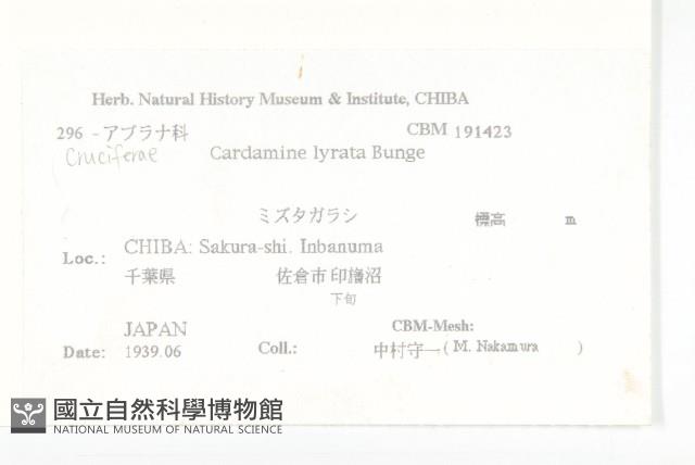 水田碎米薺藏品圖，第2張