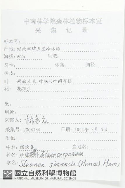 猴歡喜藏品圖，第2張