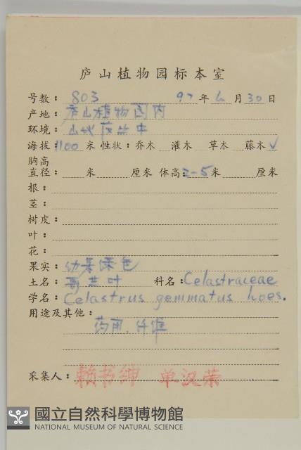 哥蘭葉藏品圖，第2張