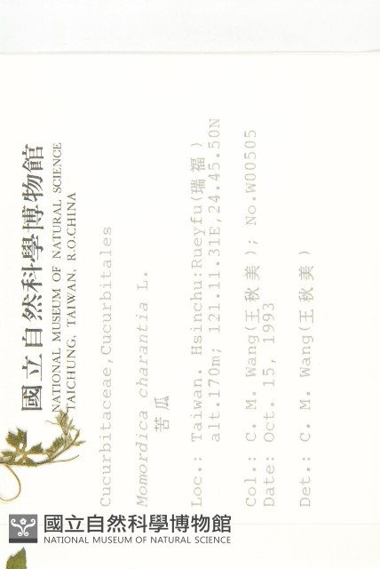 苦瓜藏品圖，第2張