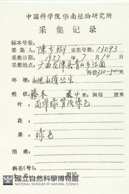 倒吊金鐘、天花藏品圖，第2張