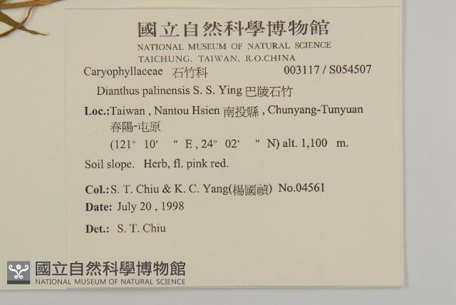 巴陵石竹藏品圖，第2張