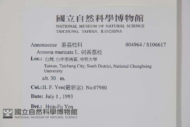 刺番荔枝藏品圖，第2張
