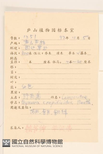 野茼蒿藏品圖，第2張