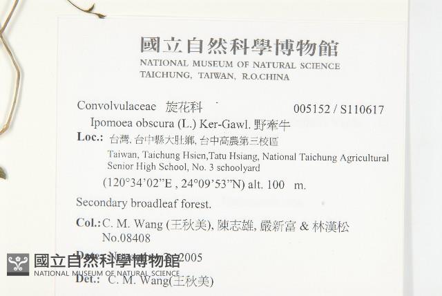 野牽牛藏品圖，第2張