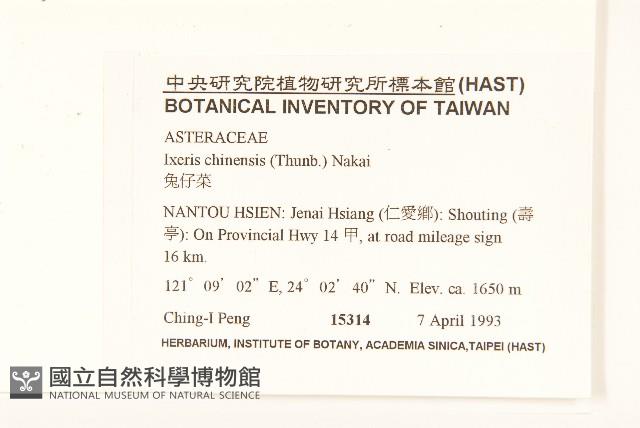 兔仔菜藏品圖，第2張