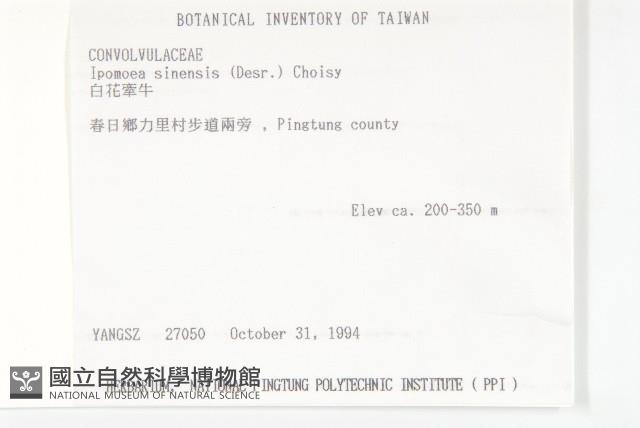 白花牽牛藏品圖，第2張