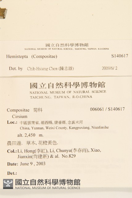登錄號:S140617藏品圖，第2張