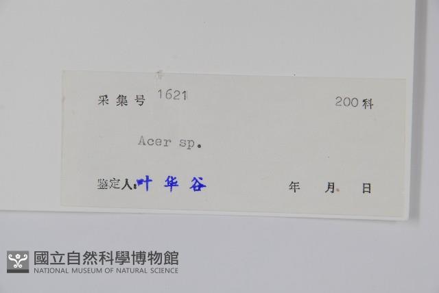 登錄號:S040617藏品圖，第2張