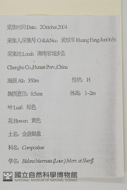 鬼針舅藏品圖，第2張